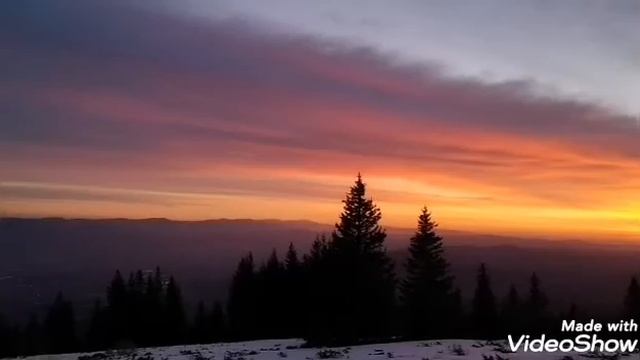 42204f75bcd1cfee9ae0e19c54b55164