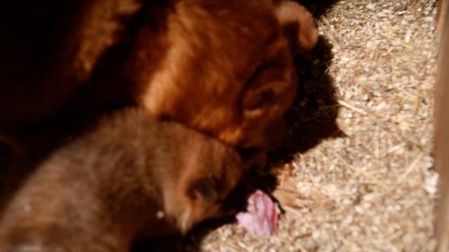 075c1bedf7ff2cf2e9535b63377c1c1f