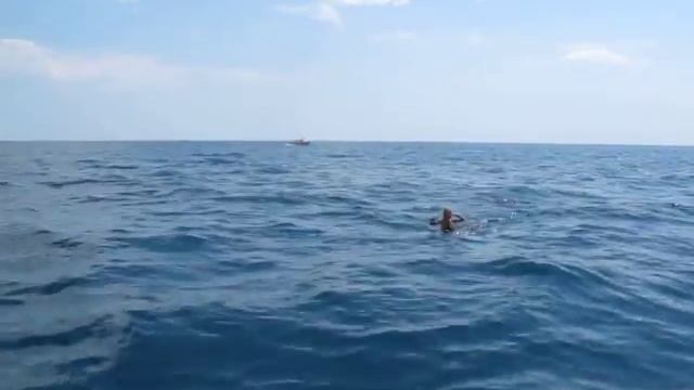 верхом на папе