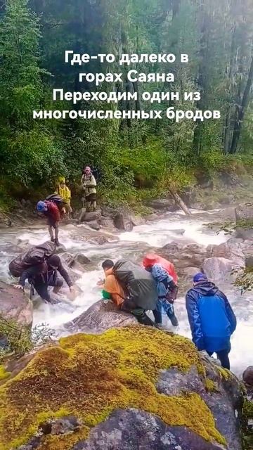 Маршрут Аршан - Шумак - Сухой ручей пройден. #блог #видеоблог #влог #горы #поход #походвтайгу