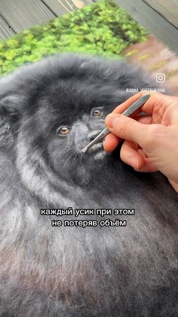 Портрет шпица ШЕРСТЬЮ #живописьшерстью #собака #собаки #шпиц