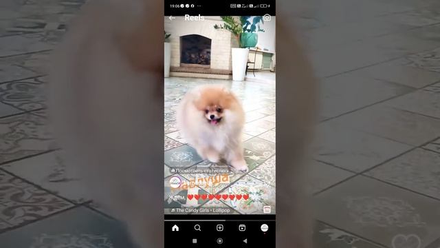 2c02f8edf328dfbc08a735756b947d31