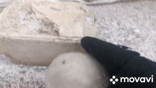 Сделал самый прочный в мире снежок 2 часть!!!❄️😉**Всё получилось**