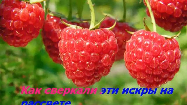 4fbe6e2264de2562ded085b8af81c8d7