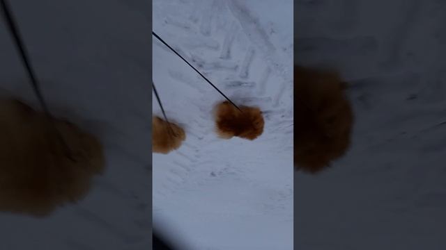 83b573f518d3e4d82c17d94f3c596526