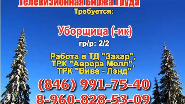 13 февраля _07.20, 23.50_Работа в Самаре_Телевизионная Биржа Труда