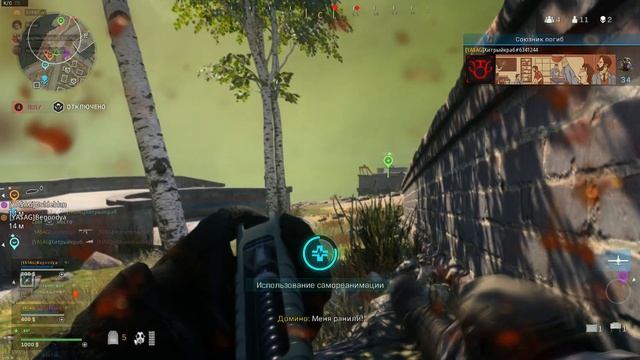 развивающаяся шизофрения в тяжелой стадии