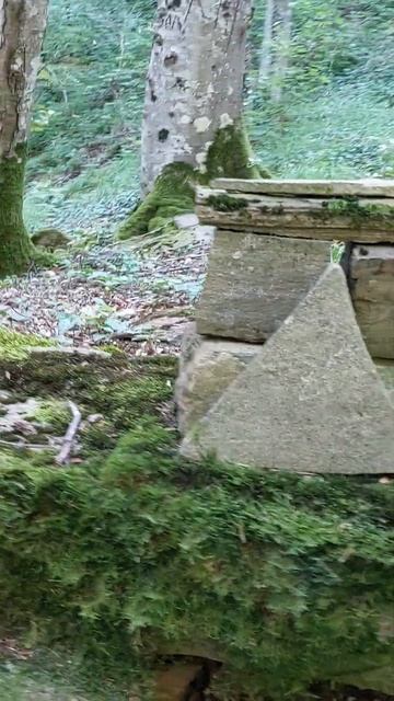 Где-то в лесу странные поделки людей