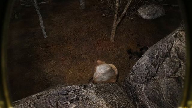 NLC7 Hard Edition Rebalance By KoT. Через радарный лес.