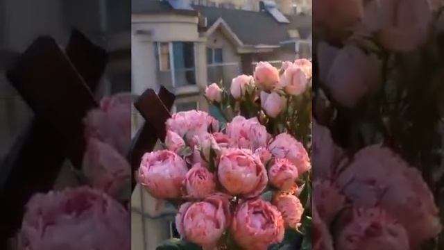 Цветы и музыка...