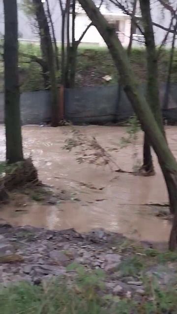 Южно-Сахалинск после ливня / Yuzhno-Sakhalinsk After The Havy Rain