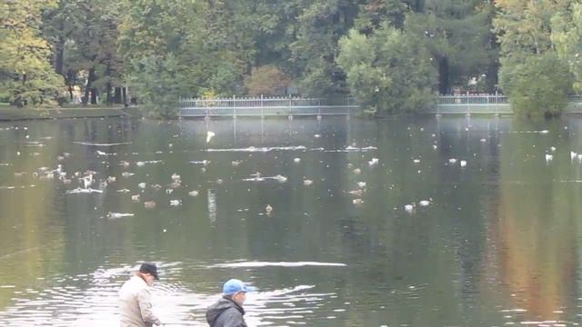 В Таврическом Саду. Вечерело...