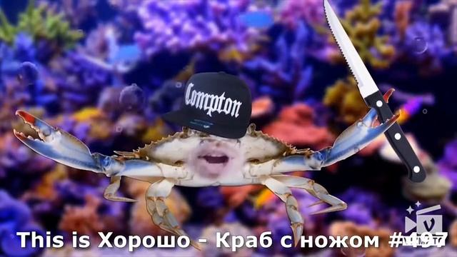 Стас Давыдов читает реп в выпусках!!!!