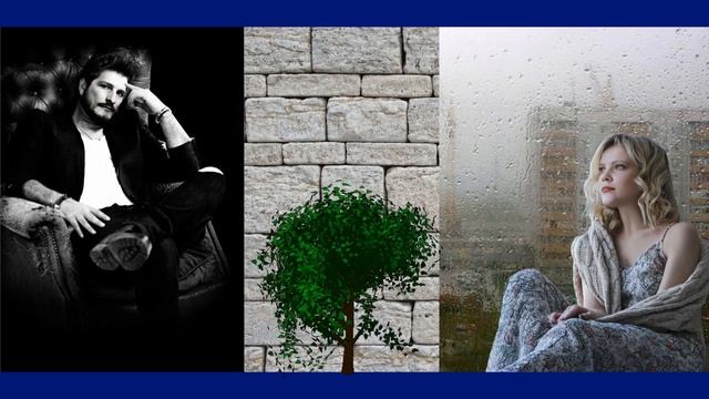 ВИА ДРУЖБА Ветер северный