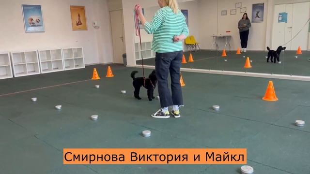 13292c2bec7943184221b52e4fdcc842