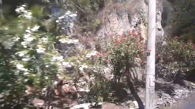 Экскурсия по Алании Часть 1