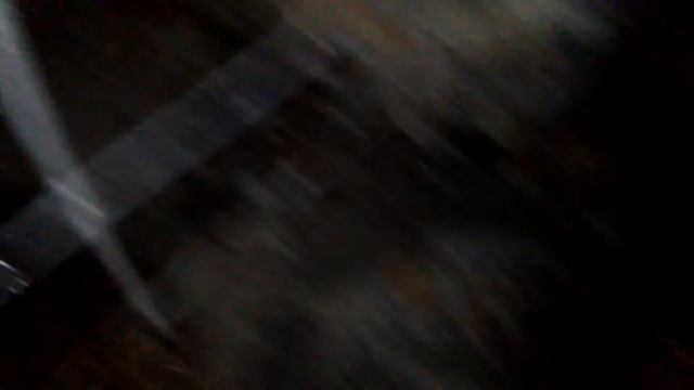 Снежок. Уже давно его не видел. Мой милый котик. Папа Барона де Уголька