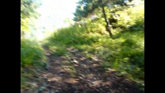 гора  Целовальникова