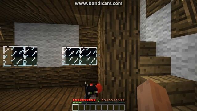 Мой кот любит хип-хоп