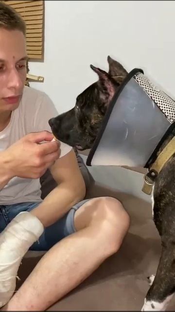 Моя собака курит 😄