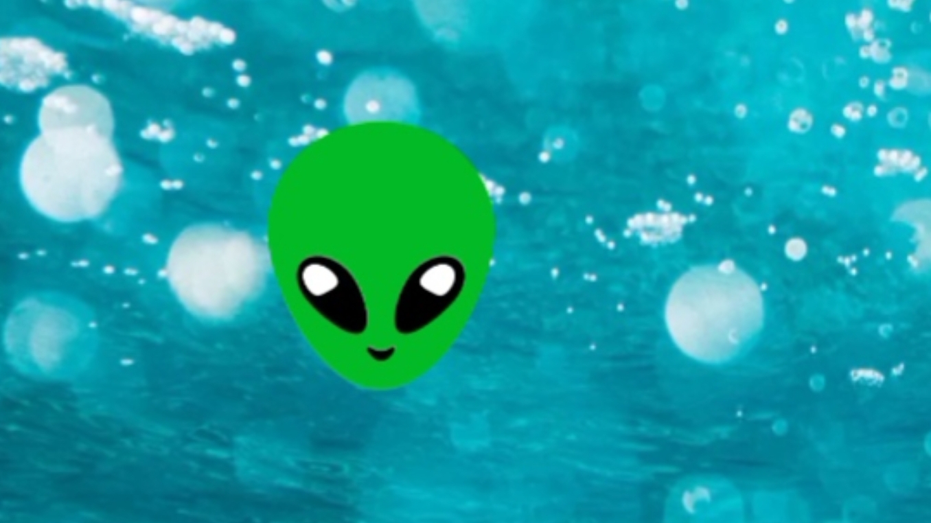 Db945b98743c210c37e0c9c5bbe94829