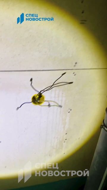 Протечка канализации по стене #стройка #ремонт