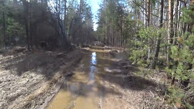 Марков камень 2024