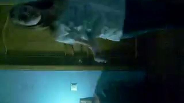 Только начала учиться Хип-Хопу))