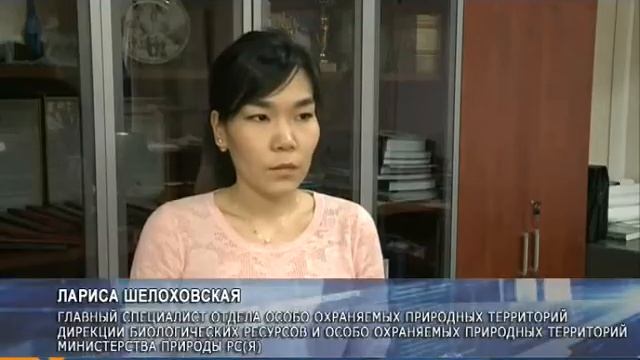 D1c00196b13feea3ead92cad4dca6c91