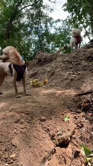 672266e9348777f01e50c10f0c607692