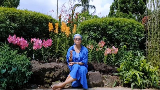 О курсе «Интегративная Аюрведа»