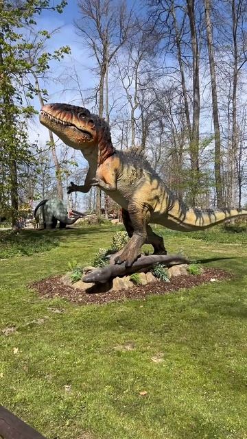 8c26c7d14350ee9375ffca645b8e2f23