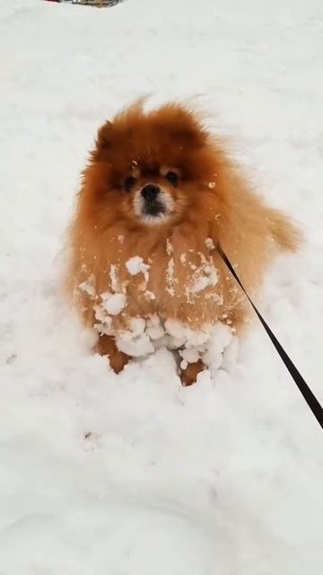 B5fa6a47215d0f9e620ef94596d33280