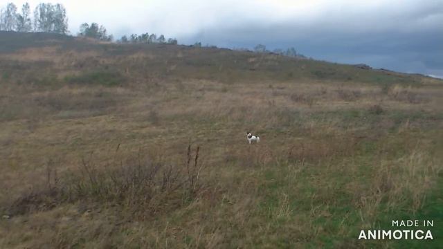 B24dd7812c394e79e2d18ed579d054dc