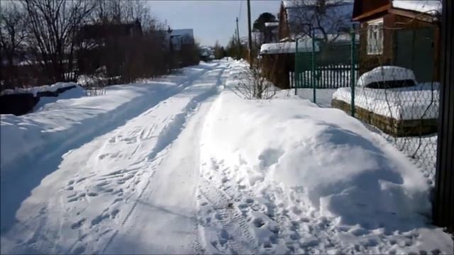 Брошенный дачник