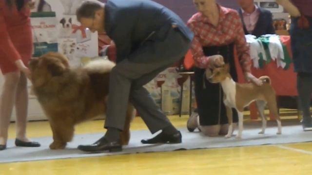 Бэст пятой группы. Екатеринбург 07.06.2015