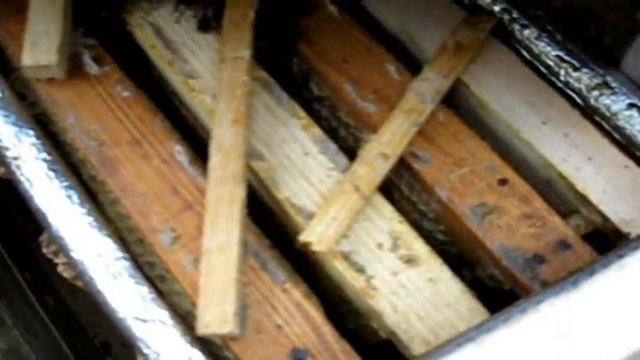 Мой  способ  зимовки 2