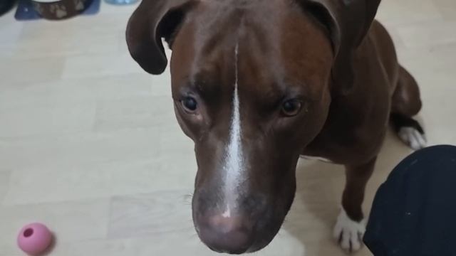 E5b28495c3826bff991ec36981bc5e95