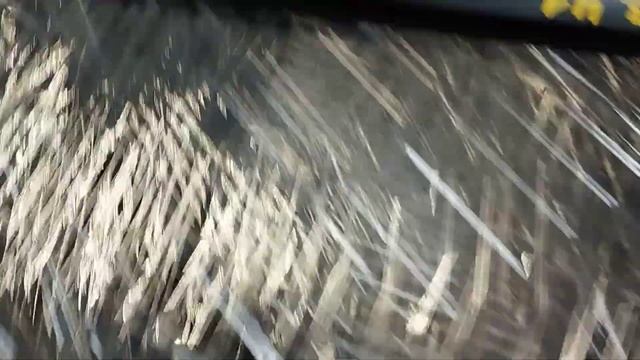 173-41 Молдинг стекла задний левый