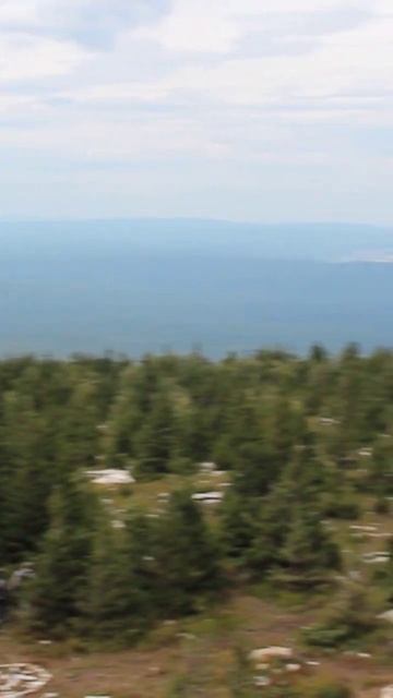 Зюраткуль. Челябинская область #shorts #short #shortvideo  #путешествия #горы #Зюраткуль