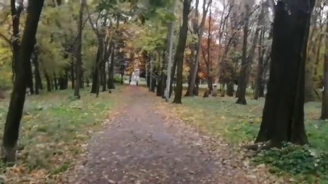 Ты даже не веришь../🎤Алла Дзгойти