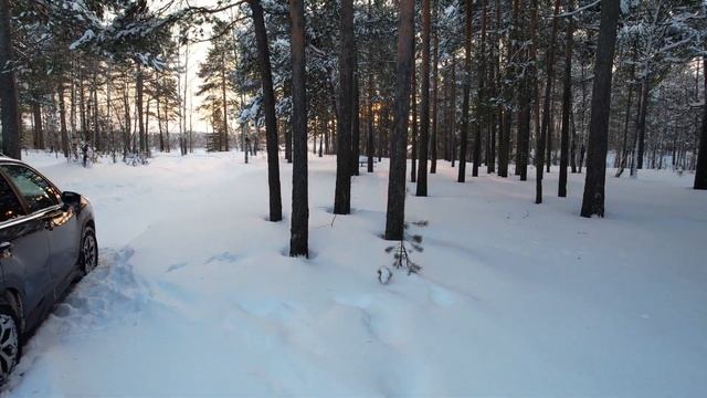 И вновь зовёт меня в полёт мой #DJI.