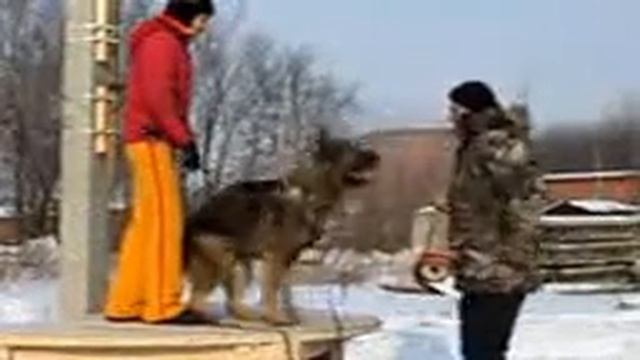 Гонконг февраль