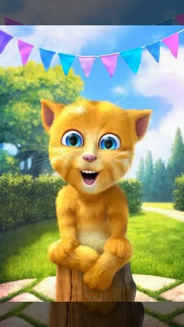 Маленький котик