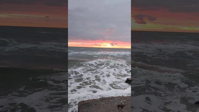 Я обираю бути щасливою .