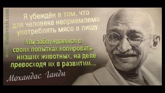 B5a9a9039ba6655fccd8a4c989a0a226