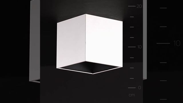 Потолочный светильник Maytoni Technical C065CL L12W4K