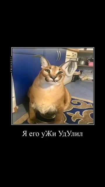 скачать бесплатно шлёпу без регистрации и смс