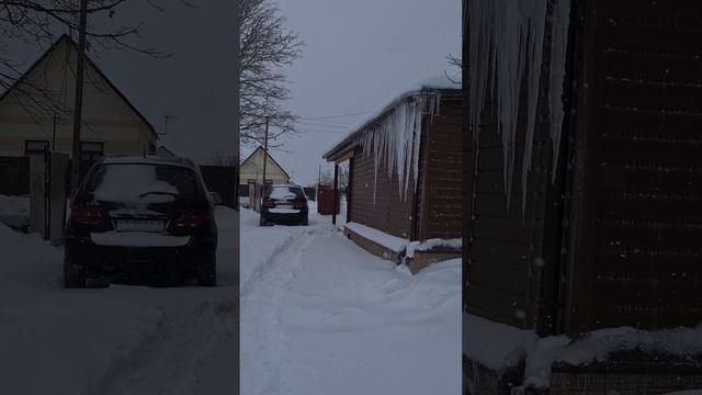 15 декабря,  как у нас в Вызволенье метёт снег. Семья целителей