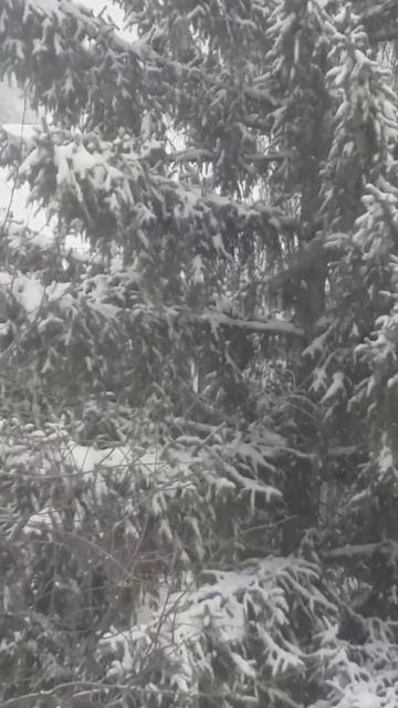 Снежинки.Пушинки.Идет снег.Идет снег2.